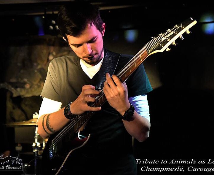 Tribute To Animals as Leaders