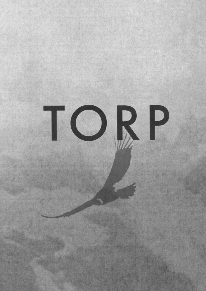 Torp